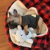 kevinrmcgill